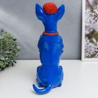 Сувенир полистоун «Той-терьер в кепке и галстуке», синий с оранжевым, 29.5×14×11.5 см - фото 47508044