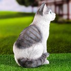 Садовая фигура "Кот" 25x16x30см - Фото 4