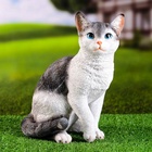Садовая фигура из полистоуна «Кот», 30×25×16 см 7751119 - фото 319934951