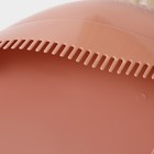 Щётка с совком Доляна: щётка 23×88 см, совок 26×26×73 см, цвет бежевый - Фото 8