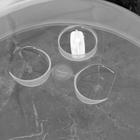 Пароварка для СВЧ-печи пластиковая BEROSSI «Экспресс», 23×25.8×11.4 см, белая - Фото 3