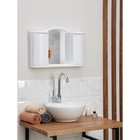 Шкафчик зеркальный для ванной комнаты «Арго», цвет снежно-белый - фото 296474867