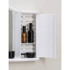 Шкафчик зеркальный для ванной комнаты «Арго», подвесной, снежно-белый - Фото 11