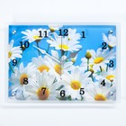 Часы-картина настенные, серия: Цветы, "Ромашки", 25х35  см - фото 317845277