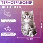 Термотрансфер «Котёнок», 11,6 × 19 см - фото 318802175