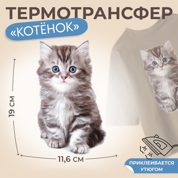 Термонаклейка «Котёнок», 11.6×19 см