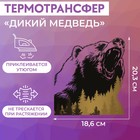 Термотрансфер «Дикий медведь», 18,6 × 20,3 см - фото 301183649