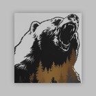 Термотрансфер «Дикий медведь», 18,6 × 20,3 см - Фото 3