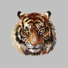 Термотрансфер «Тигр акварельный», 19,4 × 18,9 см - Фото 3