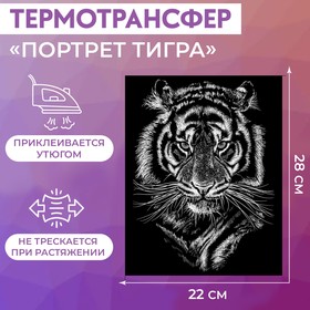Термотрансфер «Портрет тигра», 22 × 28 см (комплект 5 шт)