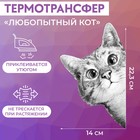 Термотрансфер «Любопытный кот», 14 × 22,3 см - Фото 1