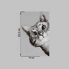 Термотрансфер «Любопытный кот», 14 × 22,3 см - Фото 3