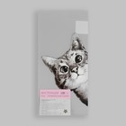 Термотрансфер «Любопытный кот», 14 × 22,3 см - Фото 6
