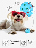 Игрушка пищащая «Бактерия» для собак, 6.3 см, голубая - Фото 2