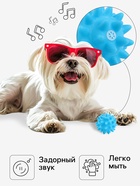 Игрушка пищащая «Мяч с шипами» для собак, 6.5 см, голубая - Фото 2