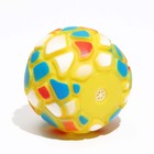 Игрушка пищащая "Мяч-пятнашка" для собак, 7 см, жёлтая - Фото 2