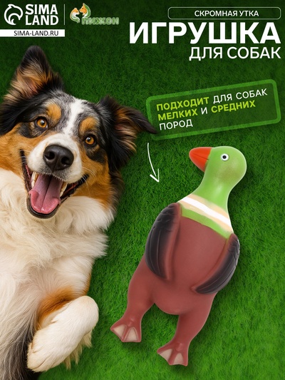 Пищащая игрушка для собак «Скромная утка», 18×7×4 см, коричневая