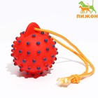 Игрушка пищащая "Шар на верёвке" для собак, 8 см, красная - фото 318802308