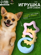 Плавающая игрушка для собак Пижон Premium «Трио», 17 см, вспененный TPR, разноцветная - Фото 1