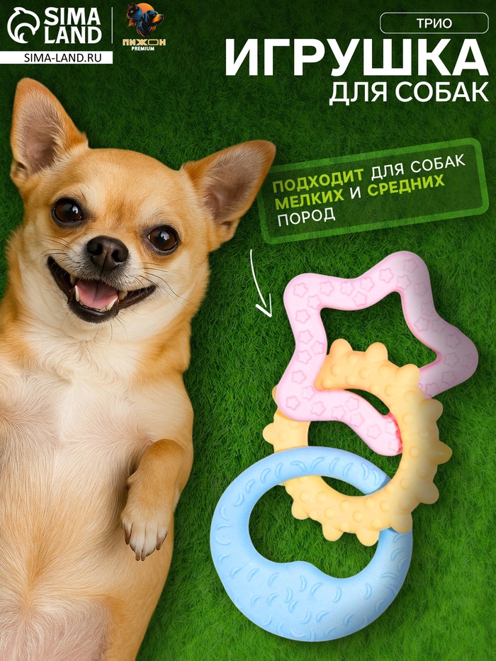Плавающая игрушка для собак Пижон Premium «Трио», 17 см, вспененный TPR, разноцветная - Фото 1