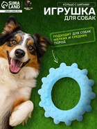 Плавающая игрушка для собак Пижон Premium «Кольцо с шипами», 8 см, вспененный TPR, голубая - Фото 1