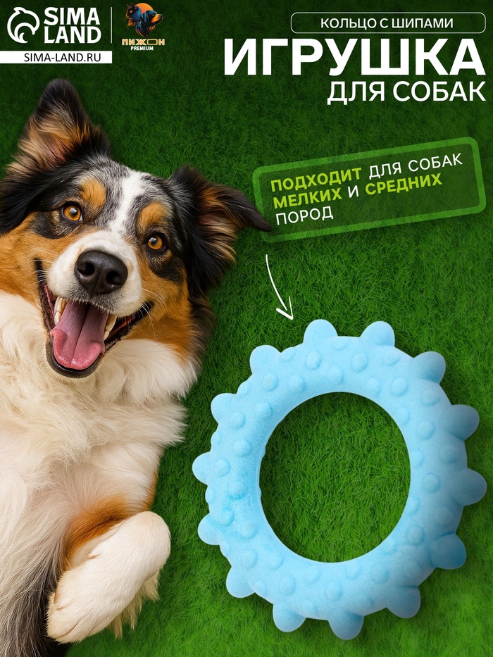 Плавающая игрушка для собак Пижон Premium «Кольцо с шипами», 8 см, вспененный TPR, голубая - Фото 1