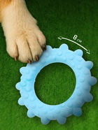 Плавающая игрушка для собак Пижон Premium «Кольцо с шипами», 8 см, вспененный TPR, голубая - Фото 2
