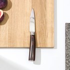 Нож Veral, овощной, 8,5 см, дамасская сталь - фото 321322701