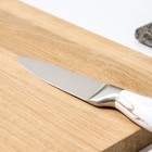 Нож для овощей кухонный Доляна Zeus, лезвие 9,5 см, цвет белый - Фото 3