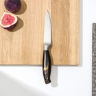 Нож для овощей кухонный Доляна Zeus, лезвие 9,5 см, цвет чёрный - Фото 2
