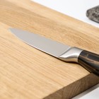 Нож для овощей кухонный Доляна Zeus, лезвие 9,5 см, цвет чёрный - Фото 3