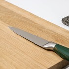 Нож кухонный универсальный Доляна Zeus, лезвие 12,5 см, цвет изумрудный - Фото 3