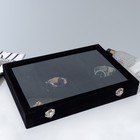 Подставка для украшений «Шкатулка» 12 ячеек, стеклянная крышка, 35×24×4,5 см, цвет чёрный - фото 9872604