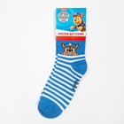 Носки PAW PATROL «Гончик», цвет синий, 16-18 см - Фото 5