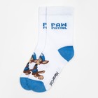 Носки PAW PATROL «Гончик», цвет белый, 16-18 см (комплект 2 шт) - фото 21839633