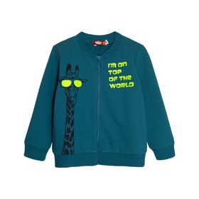 

Джемпер для мальчика, рост 110 см, цвет тёмно - бирюзовый