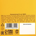 УЦЕНКА Шоколад молочный «Самой любимой бабуле», 70 г. - Фото 6