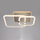 Люстра с ПДУ 1915/2 LED 78Вт диммер белый 47х37х13,5 см BayerLux 6908573 Люстра с ПДУ 1915/2 LED 78Вт диммер белый 47х37х13,5 см BayerLux 6908573