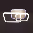 Люстра с ПДУ 1915/2 LED 78Вт диммер белый 47х37х13,5 см BayerLux 6908573 Люстра с ПДУ 1915/2 LED 78Вт диммер белый 47х37х13,5 см BayerLux 6908573