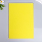 Поролон для творчества "Жёлтый" толщина 1 см 21х30 см - Фото 3