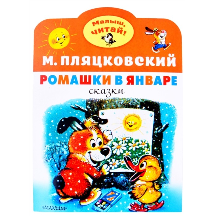 Ромашки в январе