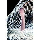 Вибратор Ррр Shio-Pro силиконовый, 21 см, цвет розовый - Фото 8