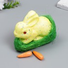 Декор "Кролик - конфетти, в травке с морковками" набор 4 шт МИКС 13 см - Фото 1