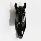 Декор настенный-вешалка "Конь"12 x 3.8 см, чёрный - фото 6559240