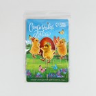 Пасхальный набор для украшения кулича «Цыплята» на пасху, 11×16.5 см - Фото 6