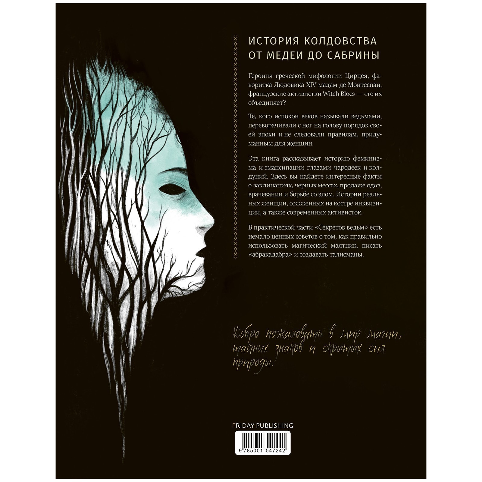 История Магии Книга Купить