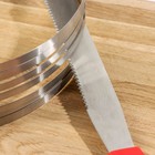 Набор кондитерский Доляна, 2 предмета: форма для выпечки с прорезями 25-30×8 см, кондитерская лопатка - Фото 3