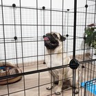 Вольер 8 секций, металлический, черный, 70×70×35 см, (35×35 см звено) - Фото 9