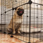 Вольер 12 секций, металлический, 105×105×35 см, (35×35 см звено), чёрный - Фото 12