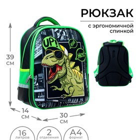 Рюкзак каркасный школьный Calligrata "Динозавр", 39 х 30 х 14 см